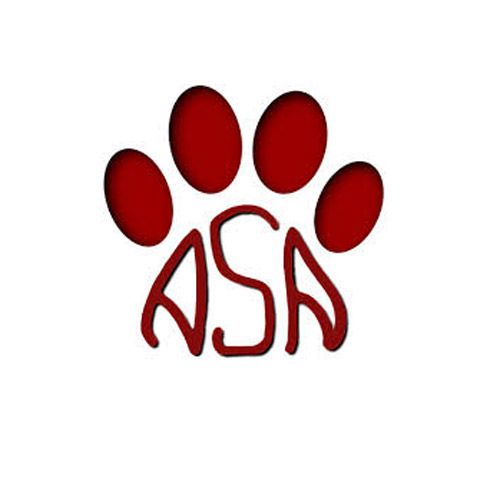 img principal ADOPTA Sitios Pet Friendly