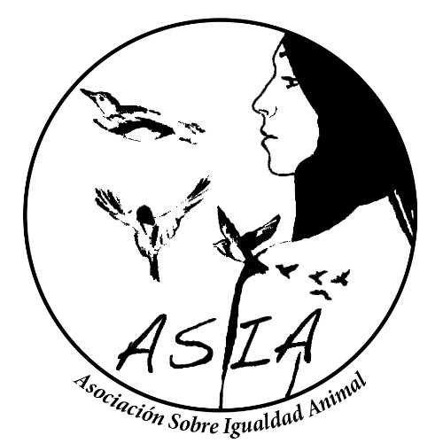 img principal ADOPTA Sitios Pet Friendly