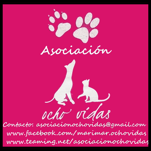 img principal ADOPTA Sitios Pet Friendly