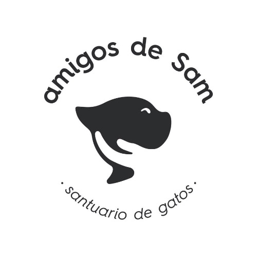 img principal ADOPTA Sitios Pet Friendly