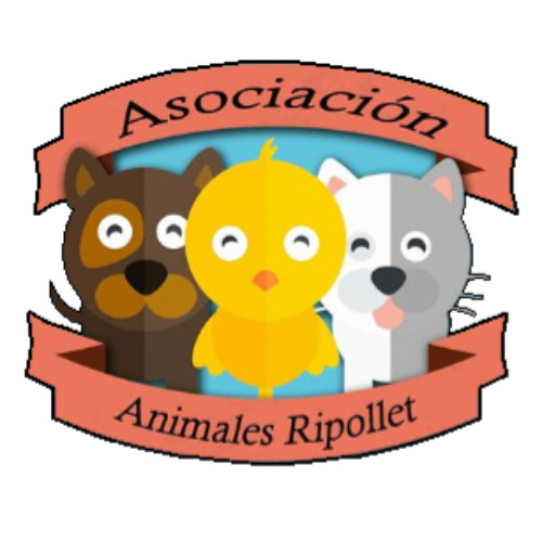 img principal ADOPTA Sitios Pet Friendly