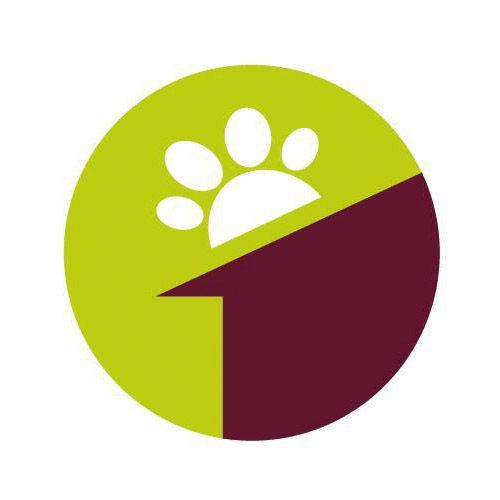 img principal ADOPTA Sitios Pet Friendly