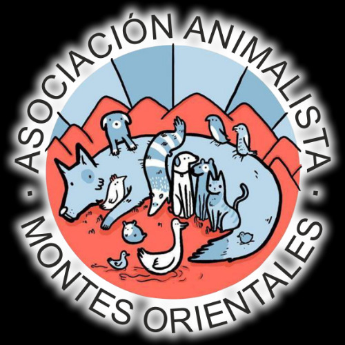 img principal ADOPTA Sitios Pet Friendly