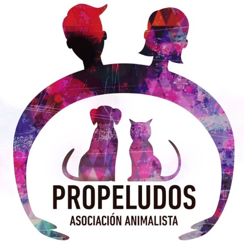 img principal ADOPTA Sitios Pet Friendly