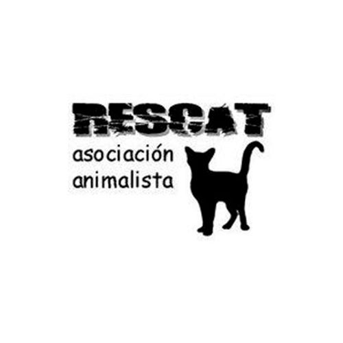 img principal ADOPTA Sitios Pet Friendly