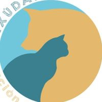img principal ADOPTA Sitios Pet Friendly