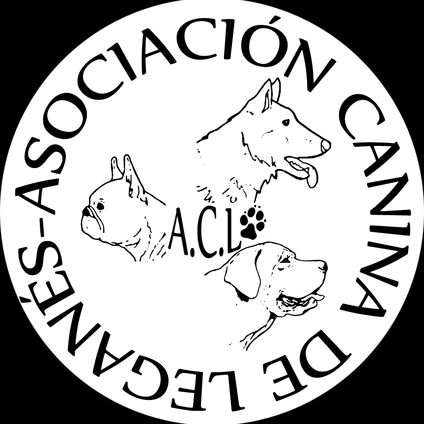 img principal ADOPTA Sitios Pet Friendly