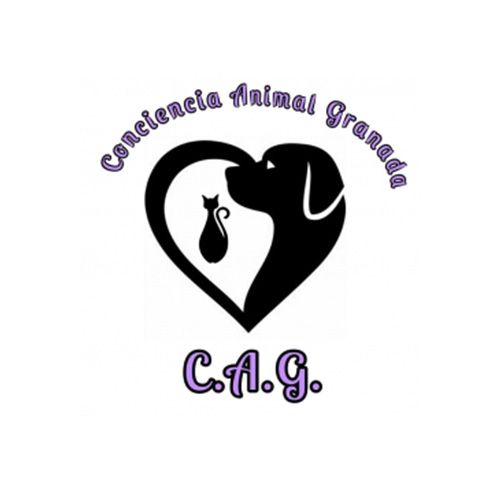 img principal ADOPTA Sitios Pet Friendly