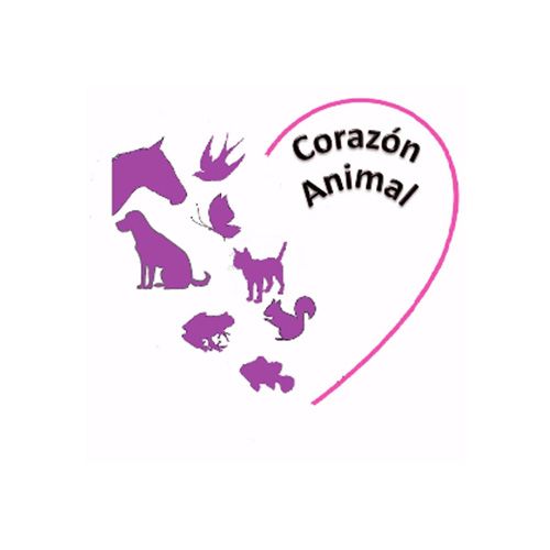 img principal ADOPTA Sitios Pet Friendly
