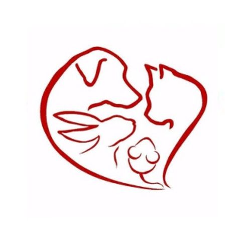img principal ADOPTA Sitios Pet Friendly