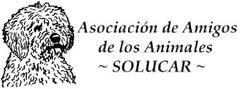 img principal ADOPTA Sitios Pet Friendly