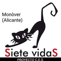 img principal ADOPTA Sitios Pet Friendly