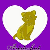img principal ADOPTA Sitios Pet Friendly