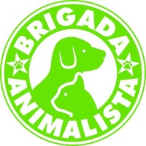 img principal ADOPTA Sitios Pet Friendly