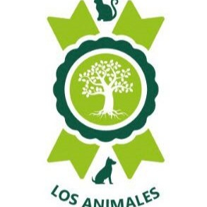 img principal ADOPTA Sitios Pet Friendly