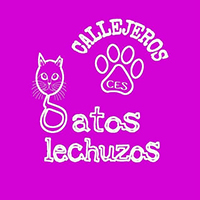 img principal ADOPTA Sitios Pet Friendly