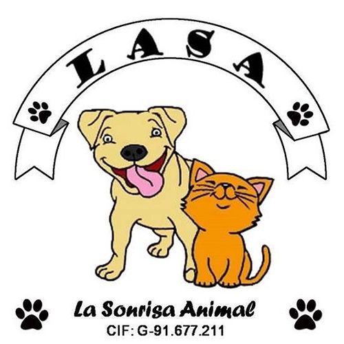 img principal ADOPTA Sitios Pet Friendly