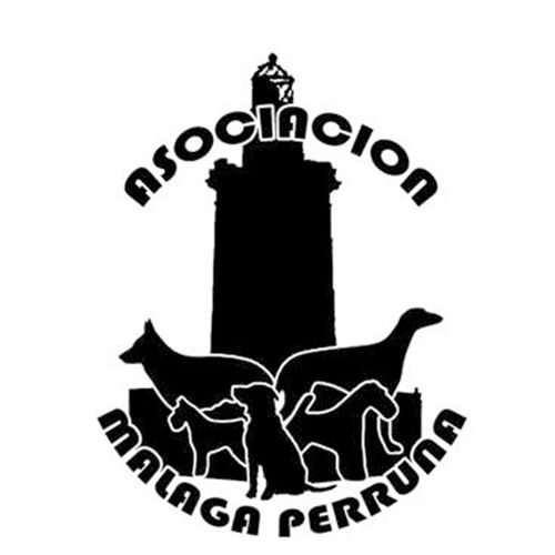 img principal ADOPTA Sitios Pet Friendly