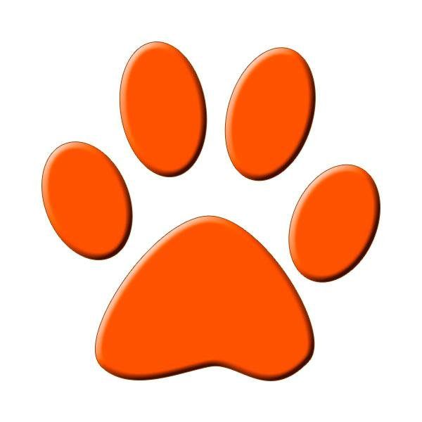 img principal ADOPTA Sitios Pet Friendly