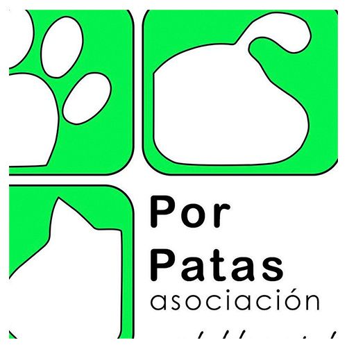 img principal ADOPTA Sitios Pet Friendly