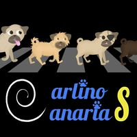 img principal ADOPTA Sitios Pet Friendly