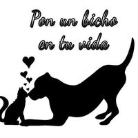 img principal ADOPTA Sitios Pet Friendly