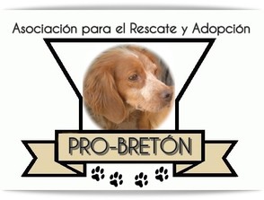 img principal ADOPTA Sitios Pet Friendly