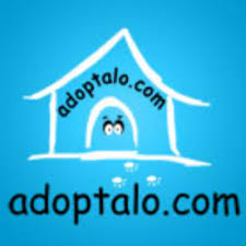 img principal ADOPTA Sitios Pet Friendly