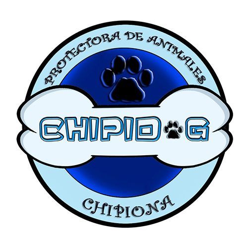 img principal ADOPTA Sitios Pet Friendly