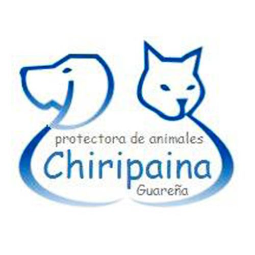 img principal ADOPTA Sitios Pet Friendly