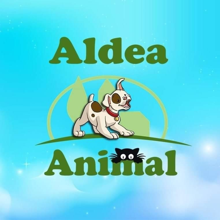 img principal ADOPTA Sitios Pet Friendly