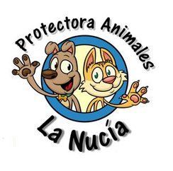 img principal ADOPTA Sitios Pet Friendly
