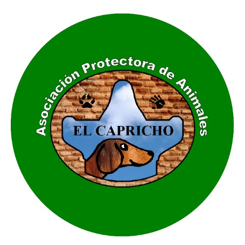 img principal ADOPTA Sitios Pet Friendly