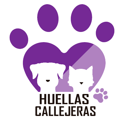 img principal ADOPTA Sitios Pet Friendly