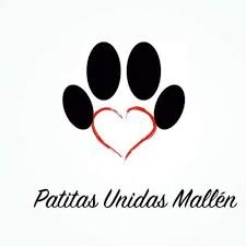 img principal ADOPTA Sitios Pet Friendly
