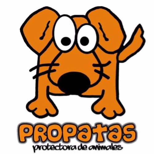 img principal ADOPTA Sitios Pet Friendly