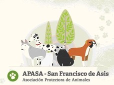 img principal ADOPTA Sitios Pet Friendly