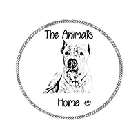 img principal ADOPTA Sitios Pet Friendly