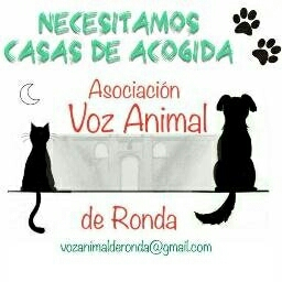 img principal ADOPTA Sitios Pet Friendly