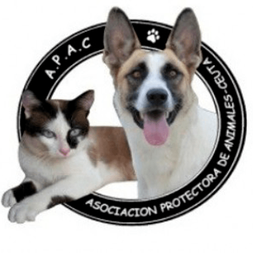 img principal ADOPTA Sitios Pet Friendly