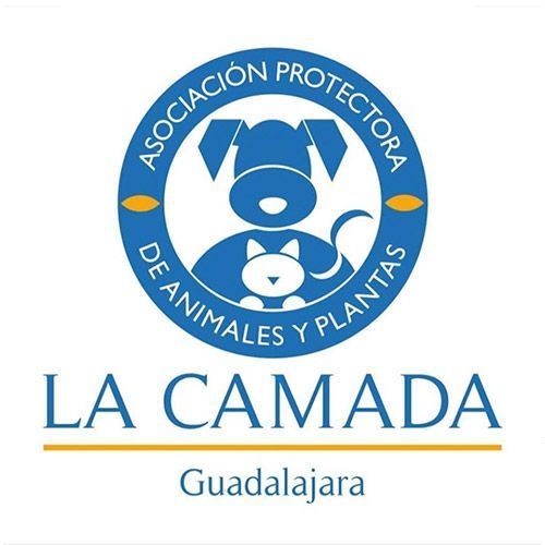 img principal ADOPTA Sitios Pet Friendly