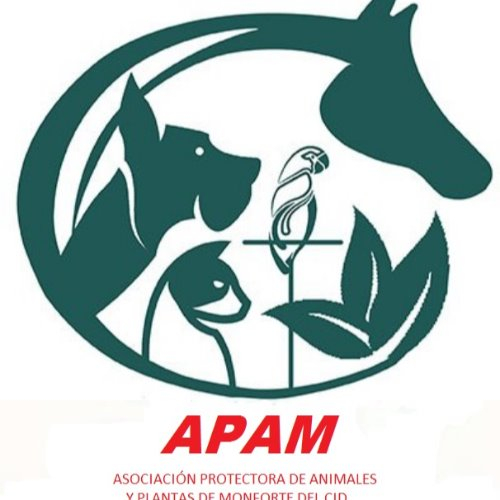 img principal ADOPTA Sitios Pet Friendly
