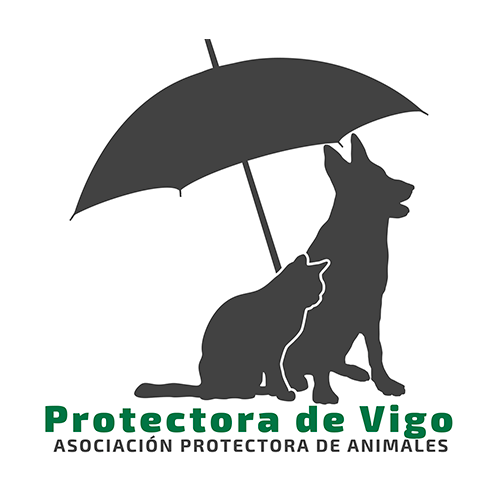 img principal ADOPTA Sitios Pet Friendly