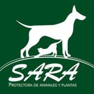 img principal ADOPTA Sitios Pet Friendly