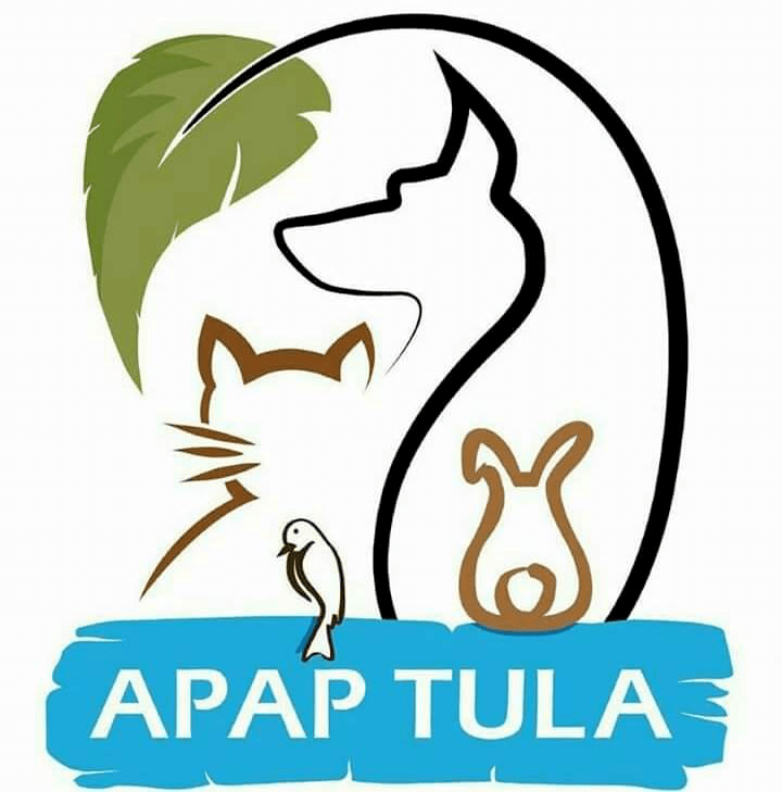 img principal ADOPTA Sitios Pet Friendly
