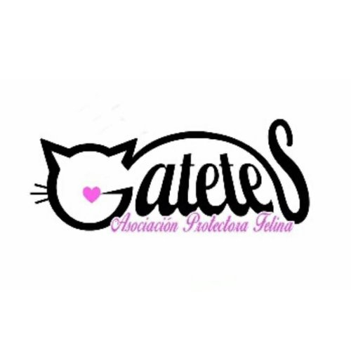 img principal ADOPTA Sitios Pet Friendly