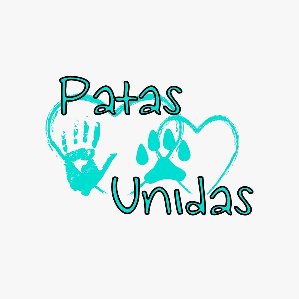 img principal ADOPTA Sitios Pet Friendly