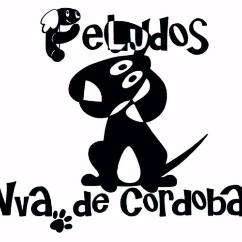 img principal ADOPTA Sitios Pet Friendly