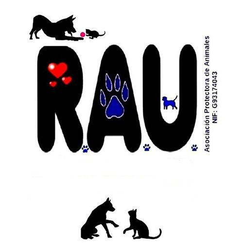 img principal ADOPTA Sitios Pet Friendly