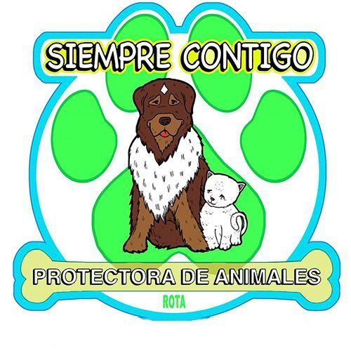 img principal ADOPTA Sitios Pet Friendly